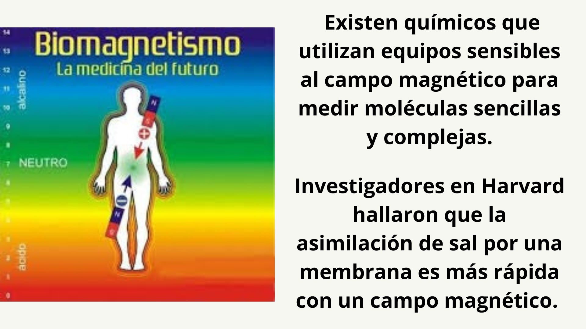 Teraoia de Biomagnetismo